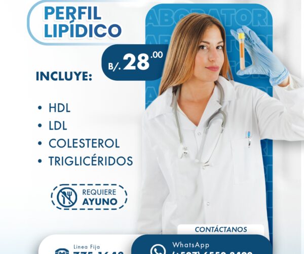Perfil Lipídico